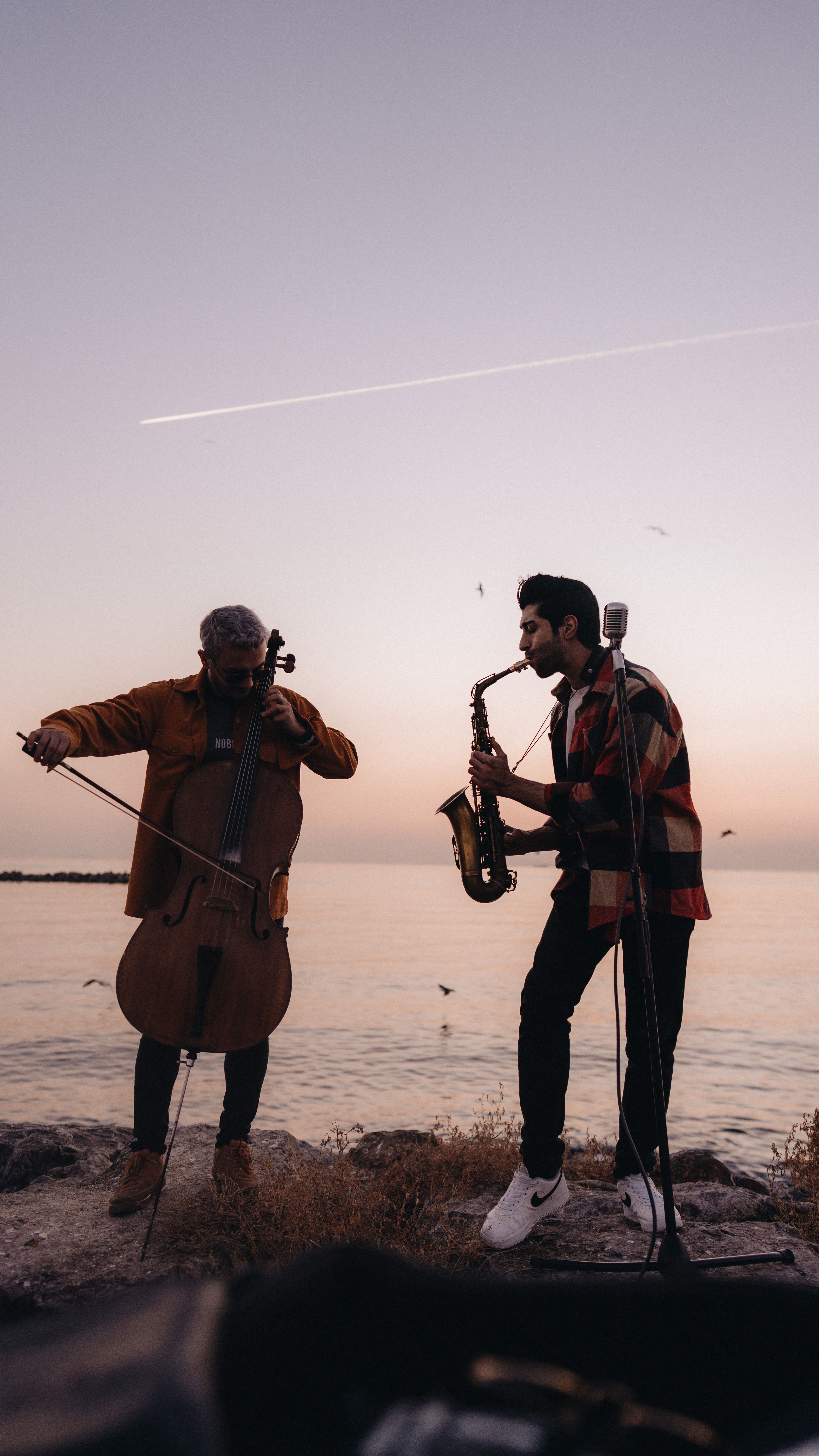 Instrumentalist