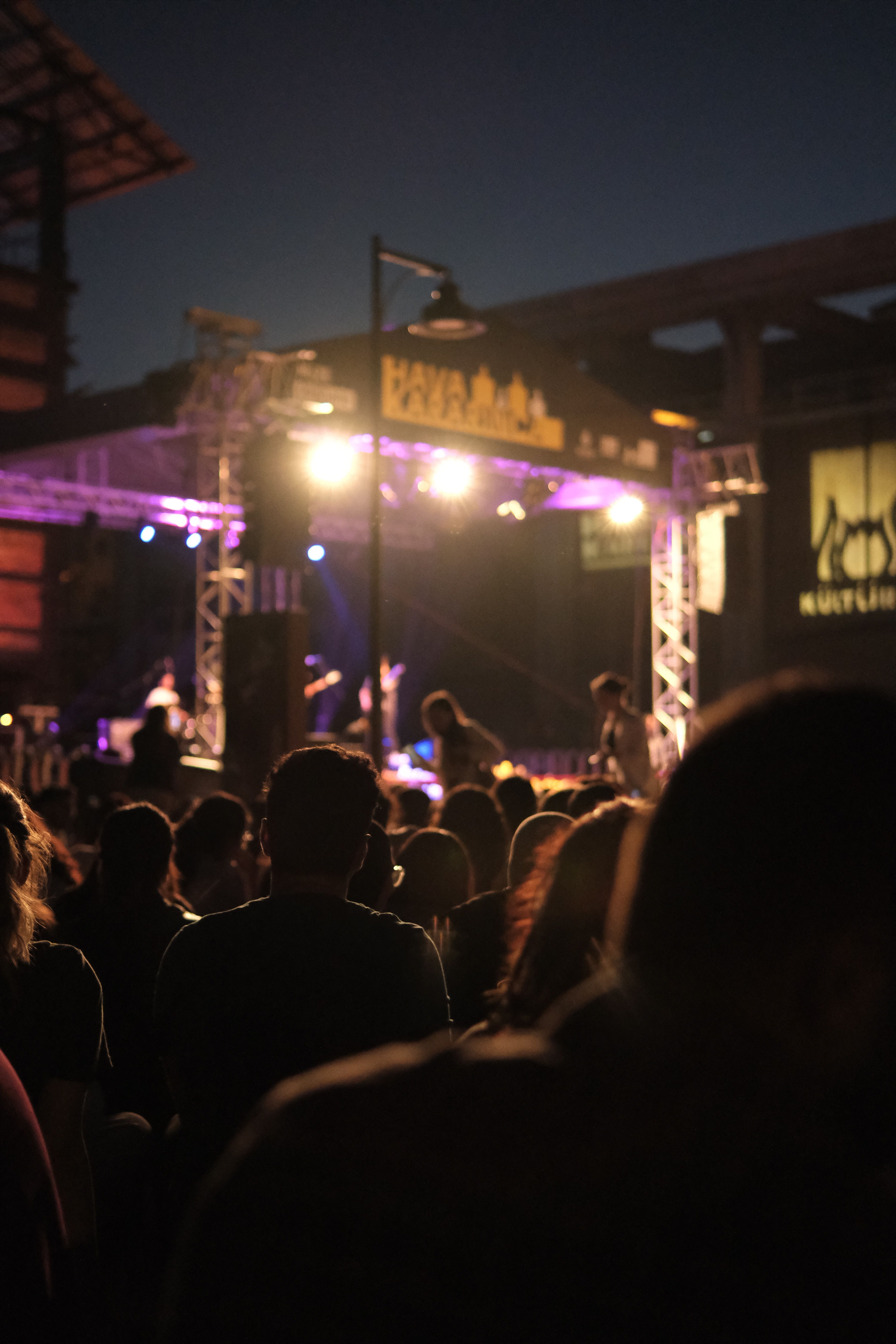 Campus Festivals